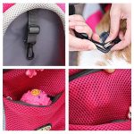 transport pratique pour chien